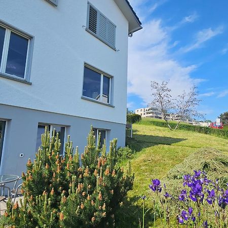 Lake View Private Studio Richterswil Bagian luar foto