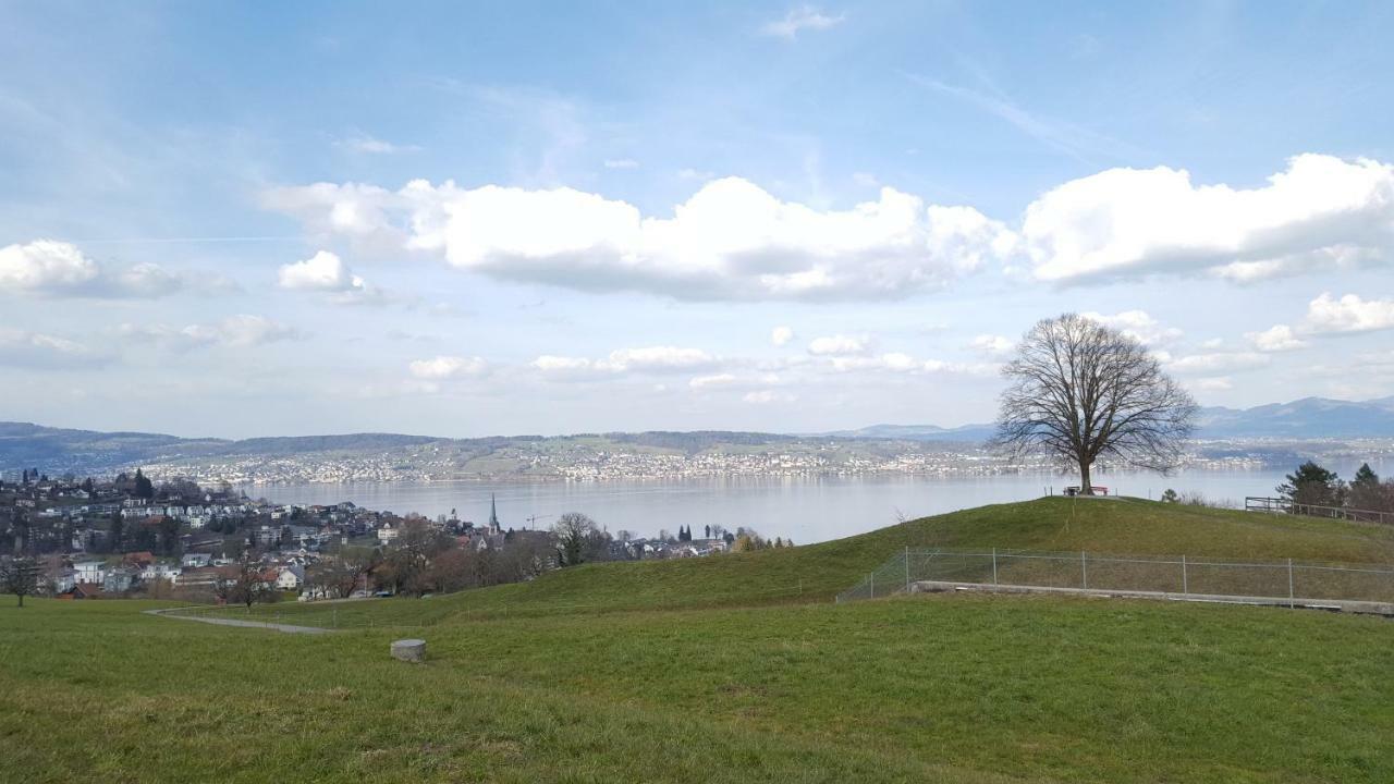 Lake View Private Studio Richterswil Bagian luar foto