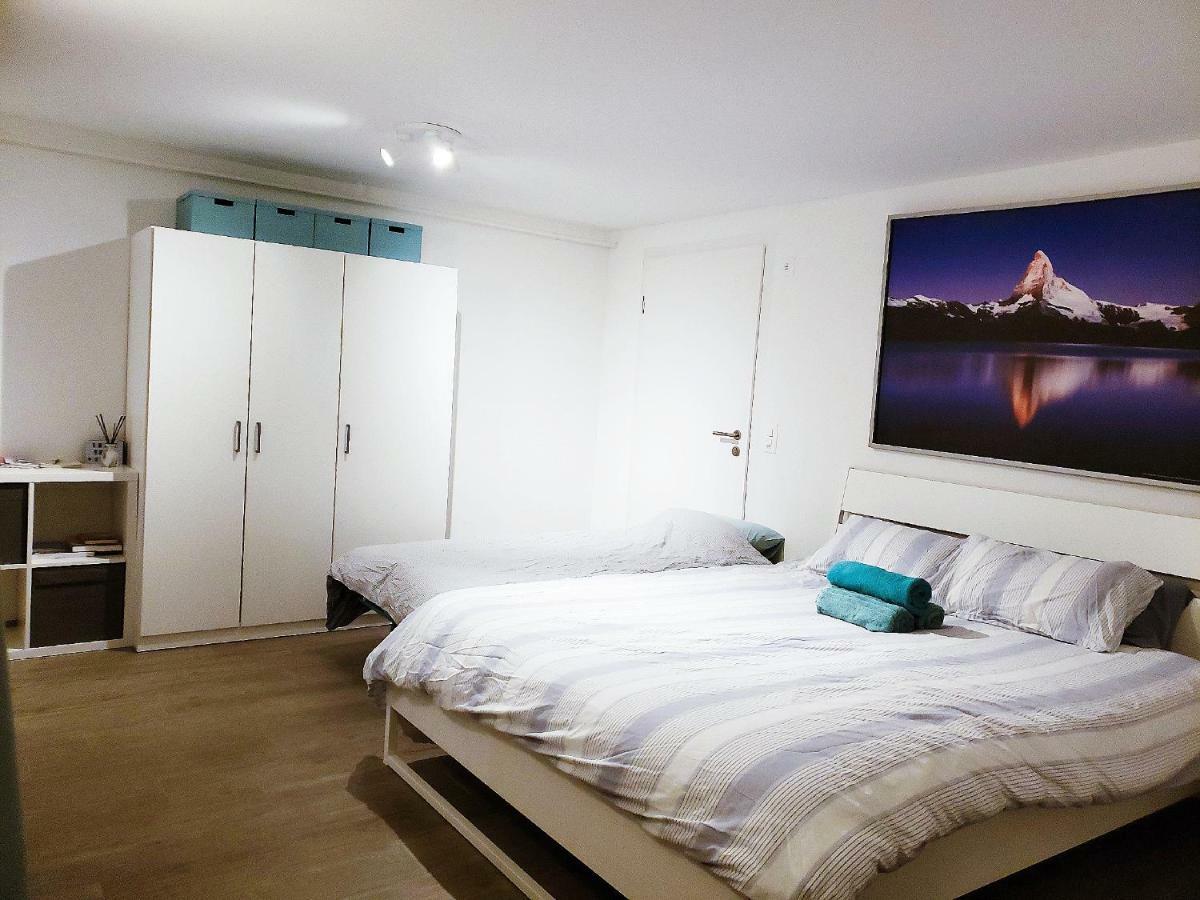 Lake View Private Studio Richterswil Bagian luar foto